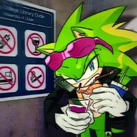 𖠗 🍁 ꞋꞌꞋ Scourge 👓 𓄹 . ִ ֗