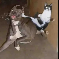 แอด