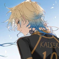 Michael kaiser