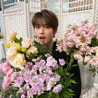 minho