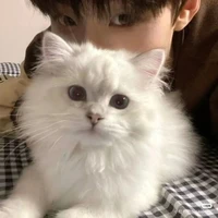 เฉ่าก๋วย(เพื่ิอน น.อ)