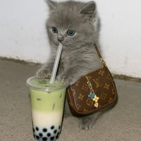 สาววายจร้าาา : [ เจ้าของเรี่อง ]