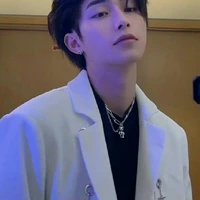 (amigo do skz) luiz