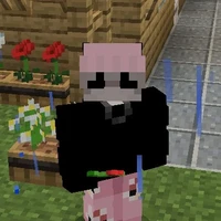 สกาย(ผู้เล่น881)