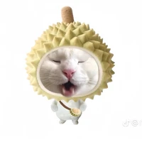 แอดเองคับ