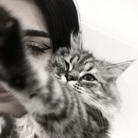 ᴷᴵᵀᵀᵞ ᴇᴍᴏᴛɪᴏɴᴀʟ