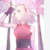 sakura haruno