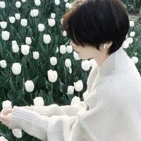 ทอฝัน(น.อ)