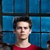Stiles