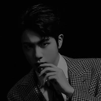 🧠 Kim Seokjin (Jin)