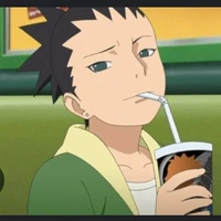 shikadai