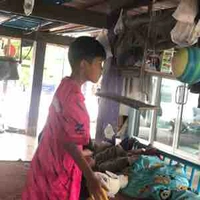 ไอซ์