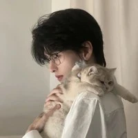 เซฟ