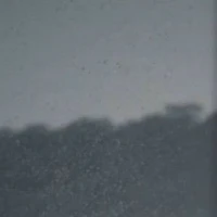 Unknown 02
