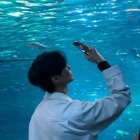 Pitchapat Nikunchaittisuth( แชทนิมิณทร์)