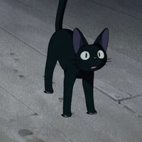 gatinho