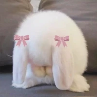 author (⁠◕⁠ᴗ⁠◕⁠✿⁠)