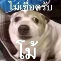 แอดซันไงคนไทย
