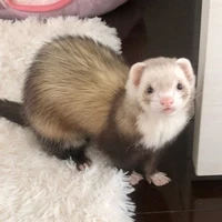 Cukie💞