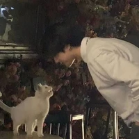 ฟาเดล👑