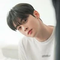 Cha eun woo(E)