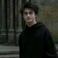 Harry riddle Potter(alfa.p.d)