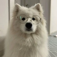 ชาเน็ว