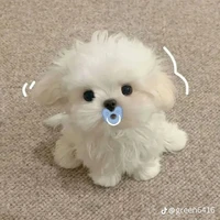 ฮารุ