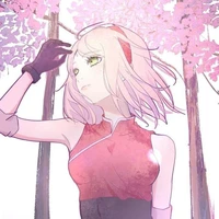 Sakura (alfa)