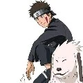 Kiba