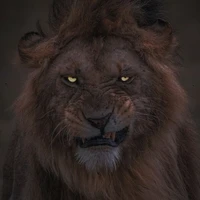 SCAR