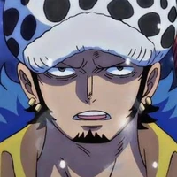 law