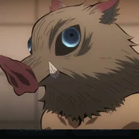 lnozuki 