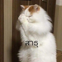 dia_rydaisy_sy
