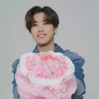 han jisung(omega)
