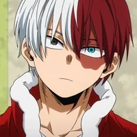 Shoto Todoroki