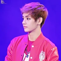 Kim Taejung (Taekook