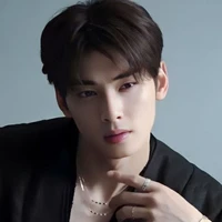 Cha Eunwoo