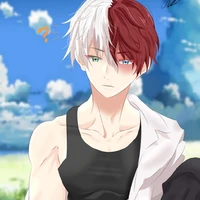 todoroki