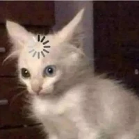 Todos los hermanos xion