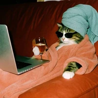 LAZY HUMAN (AUTHOR)