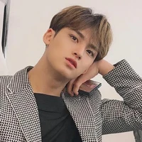 kim mingyu(human)