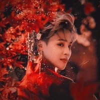 Park jimin