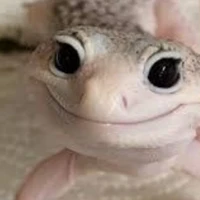 แอดเอง