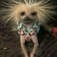 ครู