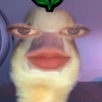 แอดเอง