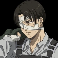 levi