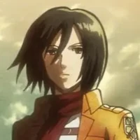 mikasa