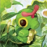 Caterpie