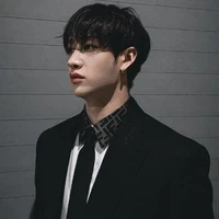 Christopher bang Chan (PA)